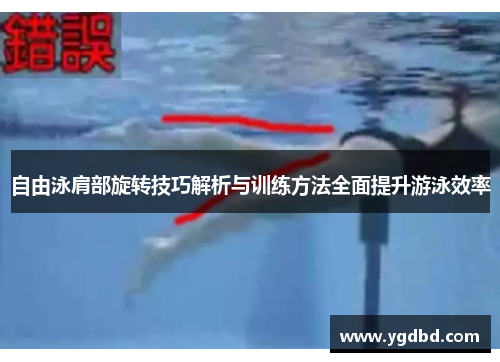 自由泳肩部旋转技巧解析与训练方法全面提升游泳效率