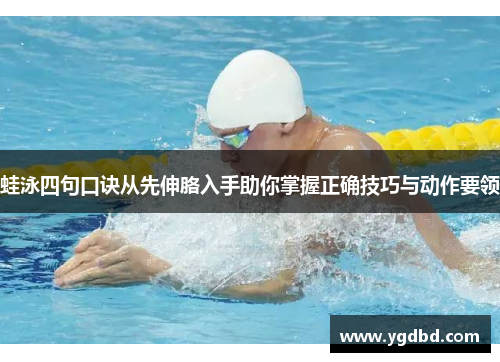 蛙泳四句口诀从先伸胳入手助你掌握正确技巧与动作要领